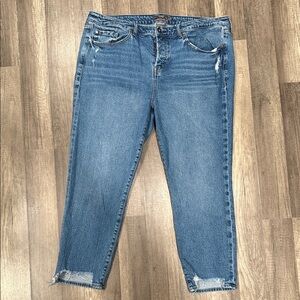 TORRID High Rise Straight Jeans w/ Button Fly  (18R)